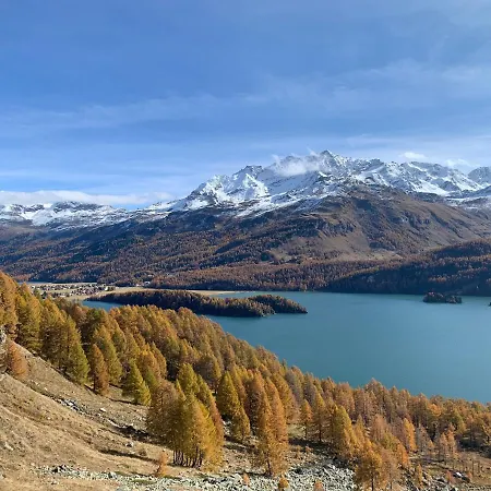 Chesa Munteratsch 1 1 2-zimmerwohnung 609 Typ D 아파트 *