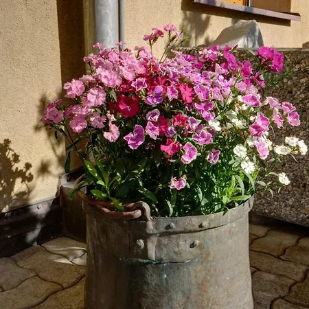 Lägenhet Chesa Munteratsch 1 1 2-zimmerwohnung 609 Typ D