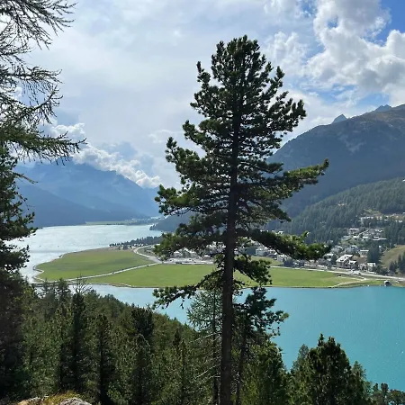 Chesa Munteratsch 1 1 2-zimmerwohnung 609 Typ D