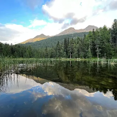 Chesa Munteratsch 1 1 2-zimmerwohnung 609 Typ D Lägenhet Silvaplana