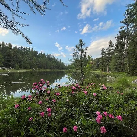 Chesa Munteratsch 1 1 2-zimmerwohnung 609 Typ D *