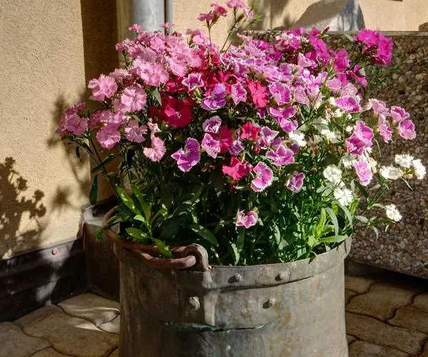 Apartman Chesa Munteratsch 1 1 2-zimmerwohnung 609 Typ D