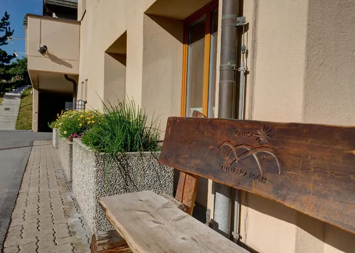 Chesa Munteratsch 1 1 2-zimmerwohnung 609 Typ D Silvaplana