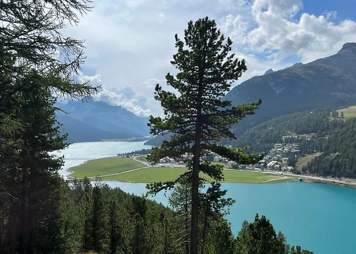 Chesa Munteratsch 1 1 2-zimmerwohnung 609 Typ D