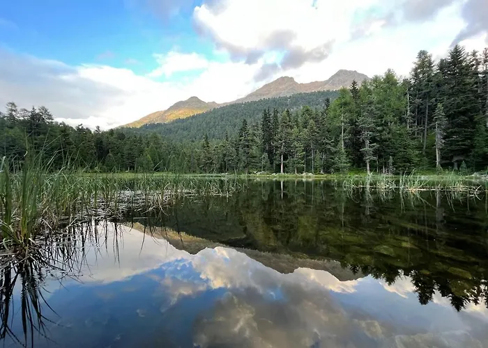 Chesa Munteratsch 1 1 2-zimmerwohnung 609 Typ D Apartman Silvaplana