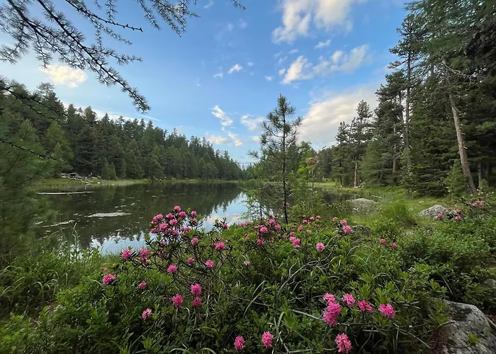 Chesa Munteratsch 1 1 2-zimmerwohnung 609 Typ D *