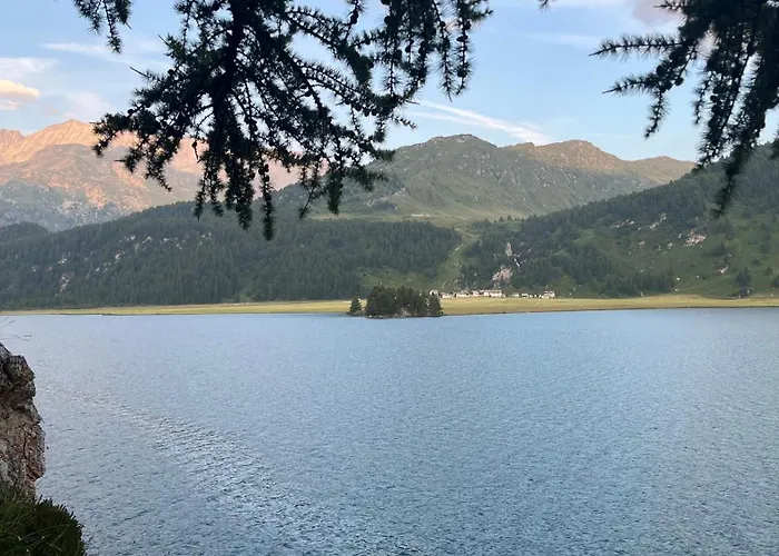 Chesa Munteratsch 1 1 2-zimmerwohnung 609 Typ D Apartman